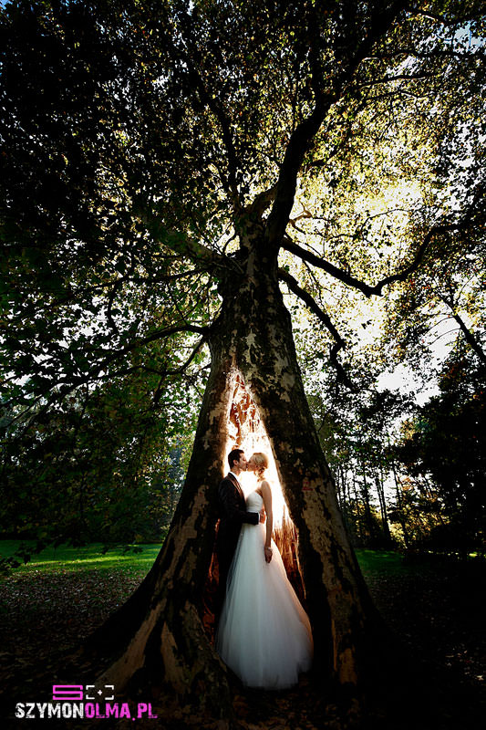 fotografia slubna pszczyna