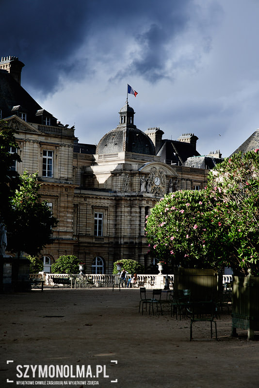 plener ślubny w paryżu