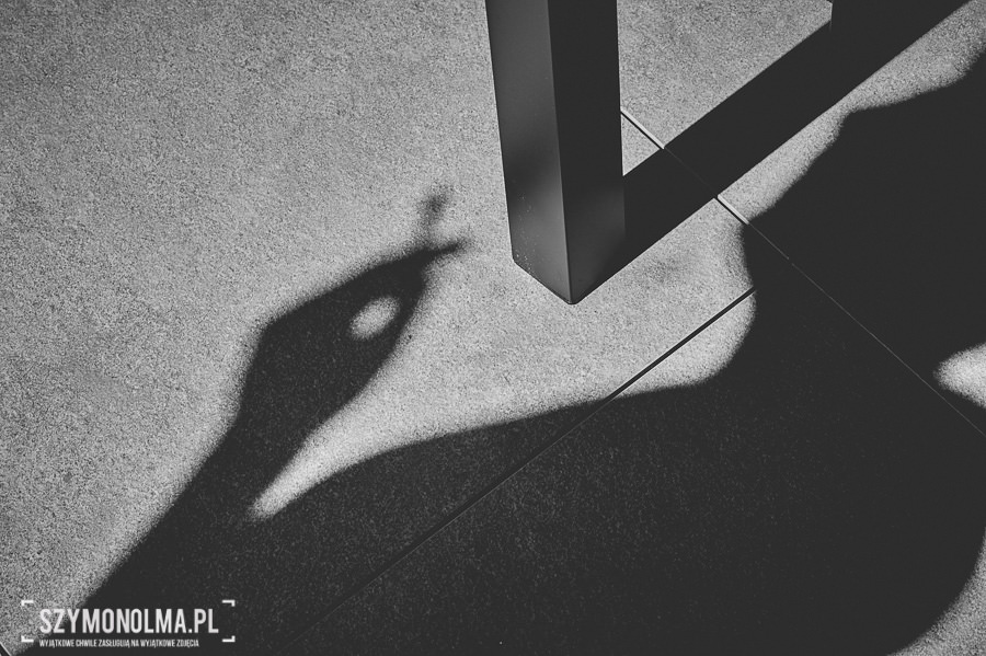 reportaz slubny szwajcaria