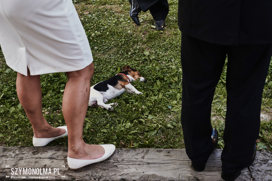 wesele dolina cedronu