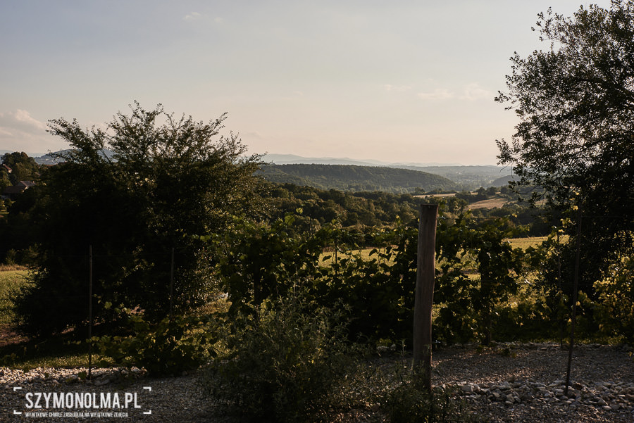 wesele dolina cedronu