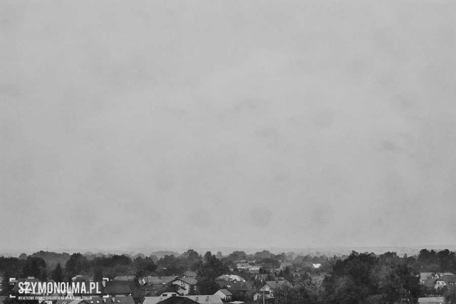 wesele na zamku królewskim w niepolomicach