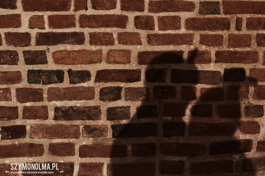 wesele na zamku królewskim w niepolomicach