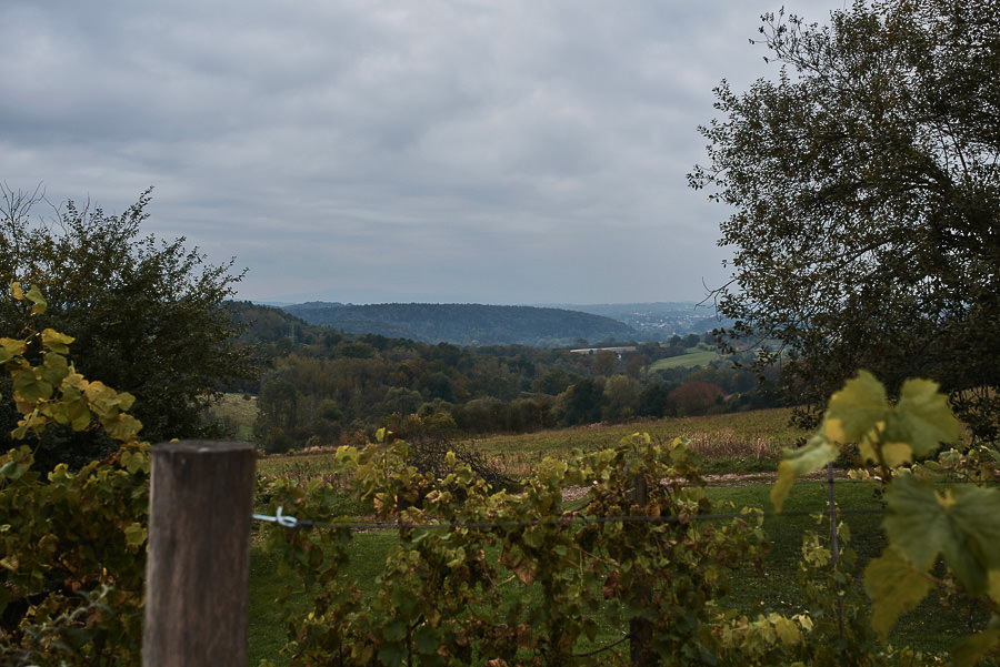 najlepsze miejsce na wesele pod krakowem