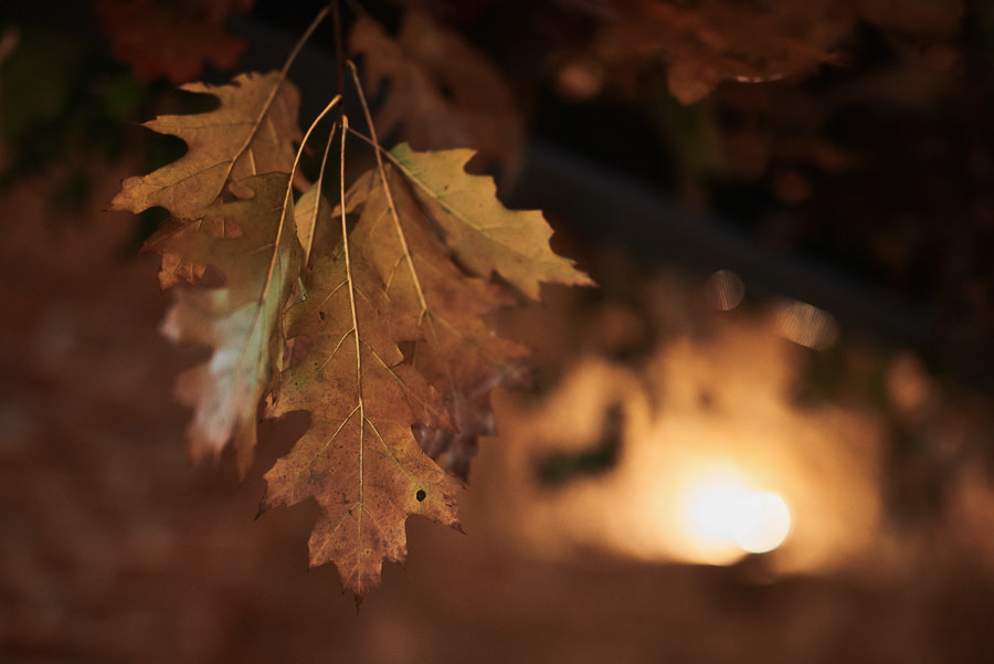 rustykalne wesele dolina cedronu