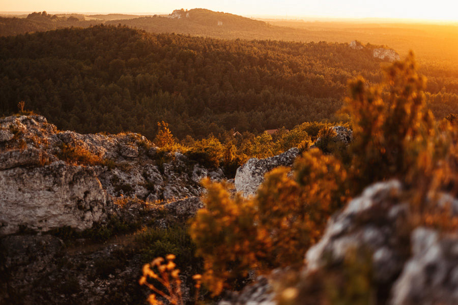 jura krakowsko czestochowska
