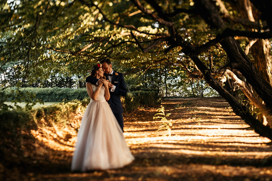 plener w dniu slubu krakow