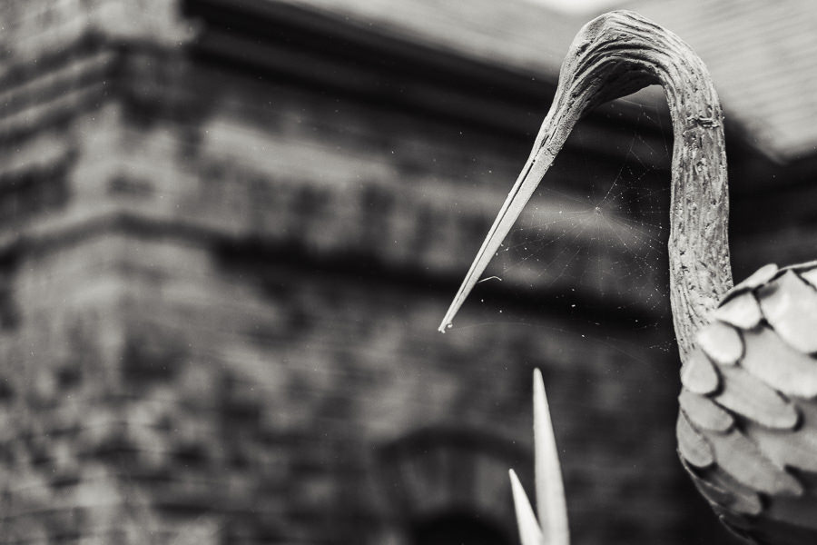 folwark białych bocianów rustykalne wesele