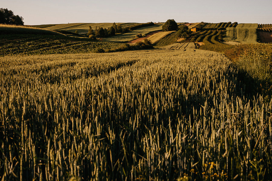 wesele Wierzchowiska Golf & Country Club