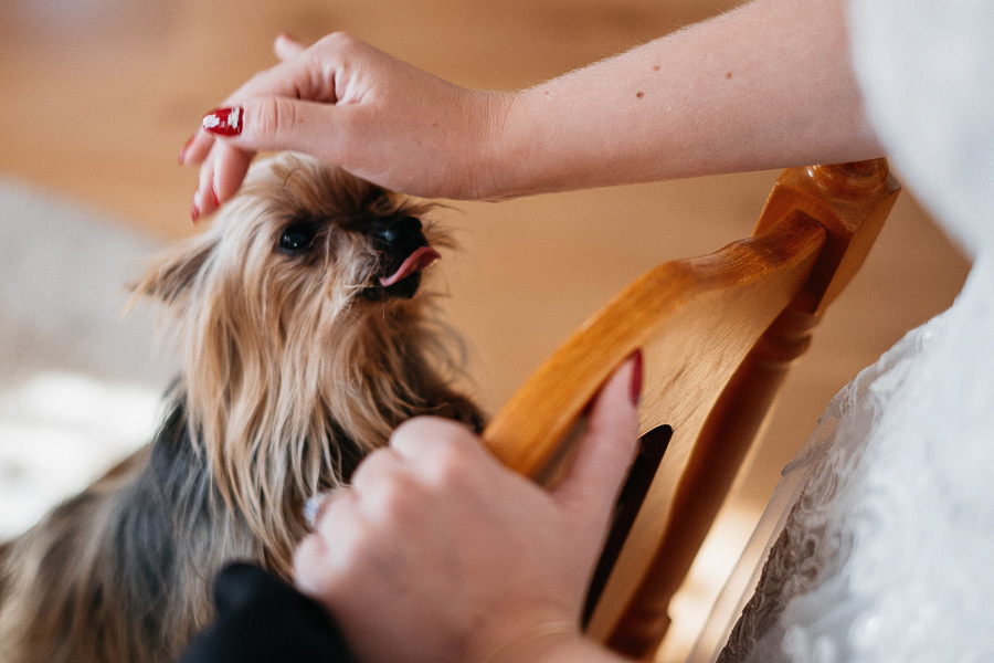 najlepsze zdjęcia ślubne