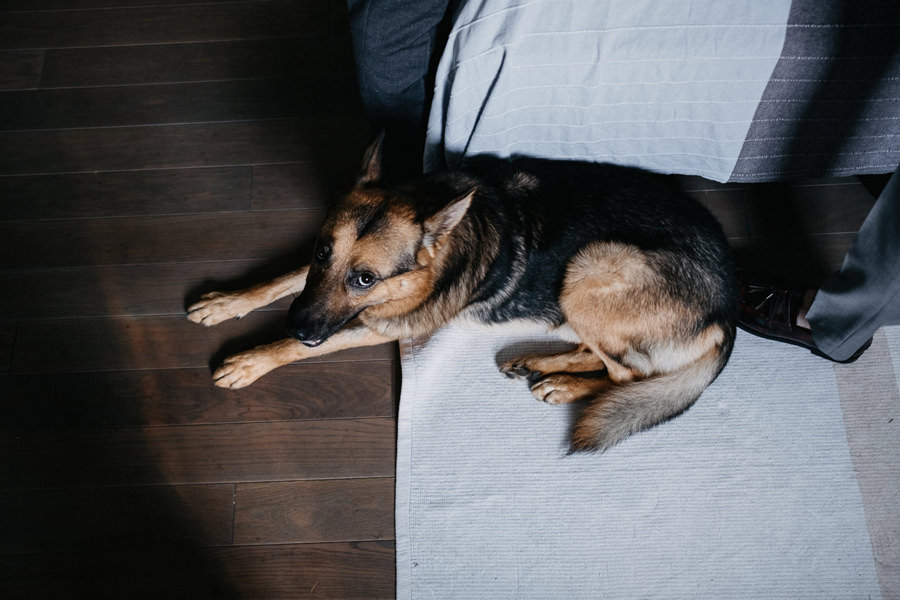 przygotowania oaza leńcze