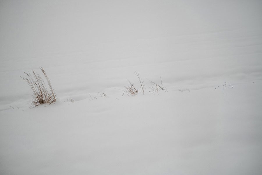 przygotowania do slubu w villa love