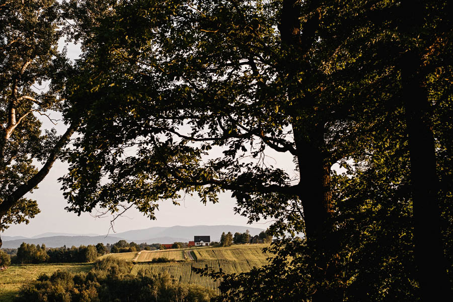 romantyczne wesele pod namiotem