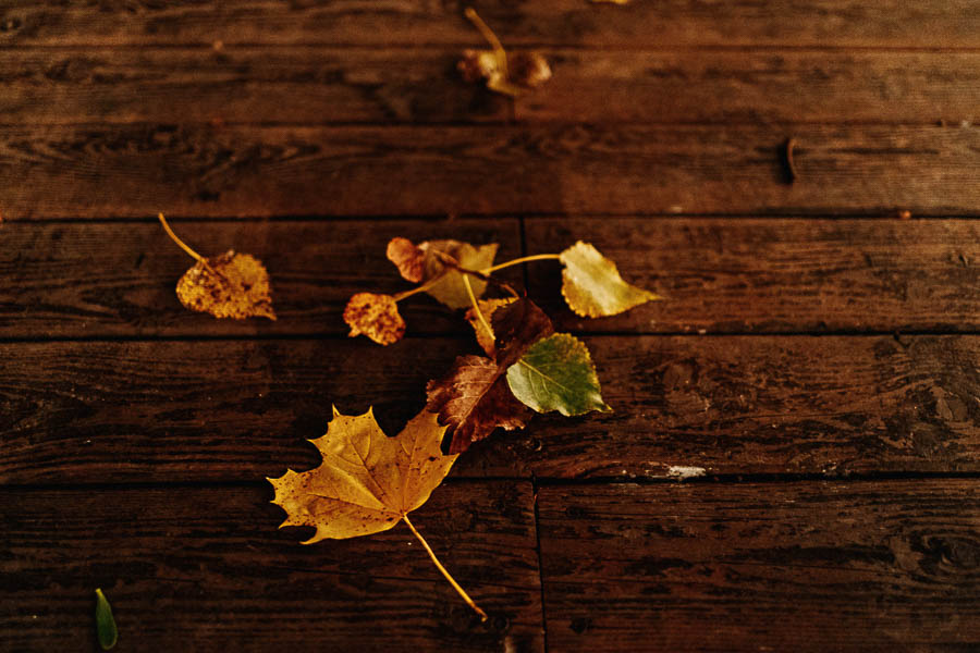 zacisze anny korcz wesele w pomiechowku