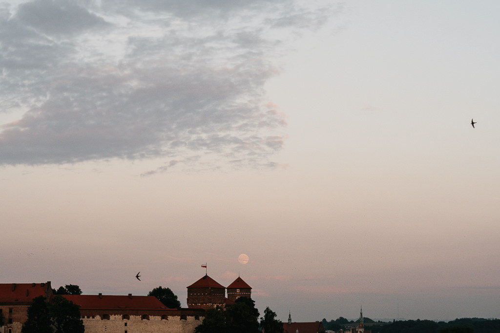 Wesele last minute w Muzeum Manggha w Krakowie